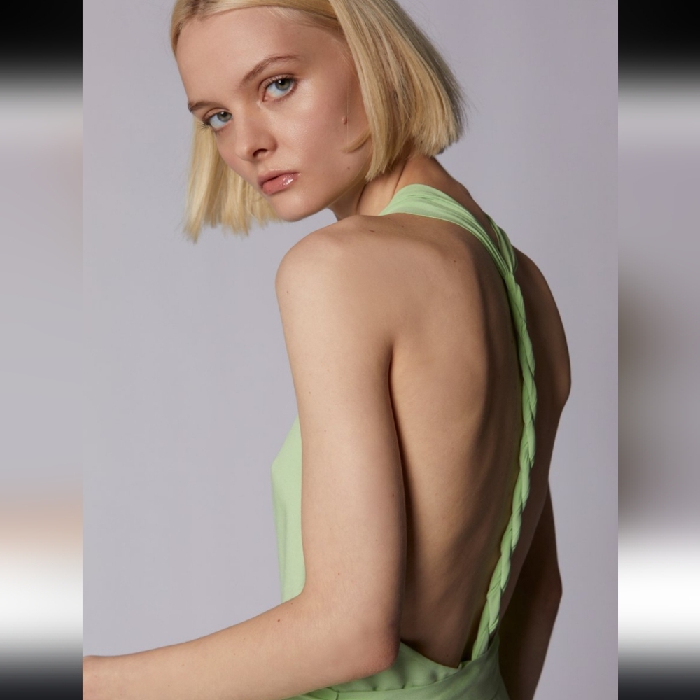 Alejandra Midi Silk Dress By Dress The Population, Pistachio Green, Size 0, NWT - Picture 8 of 9